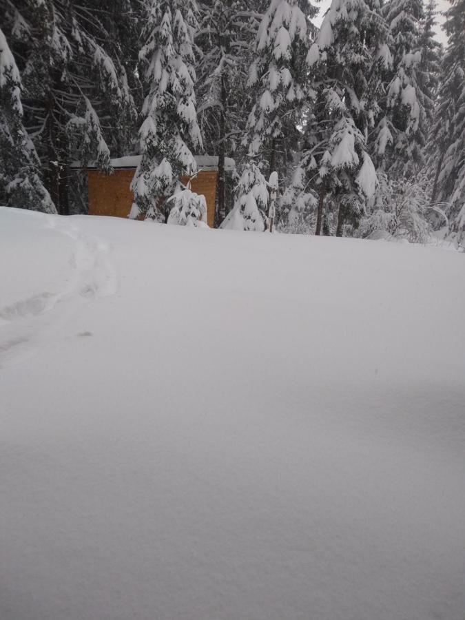 兹法小屋 Oravská Polhora 外观 照片